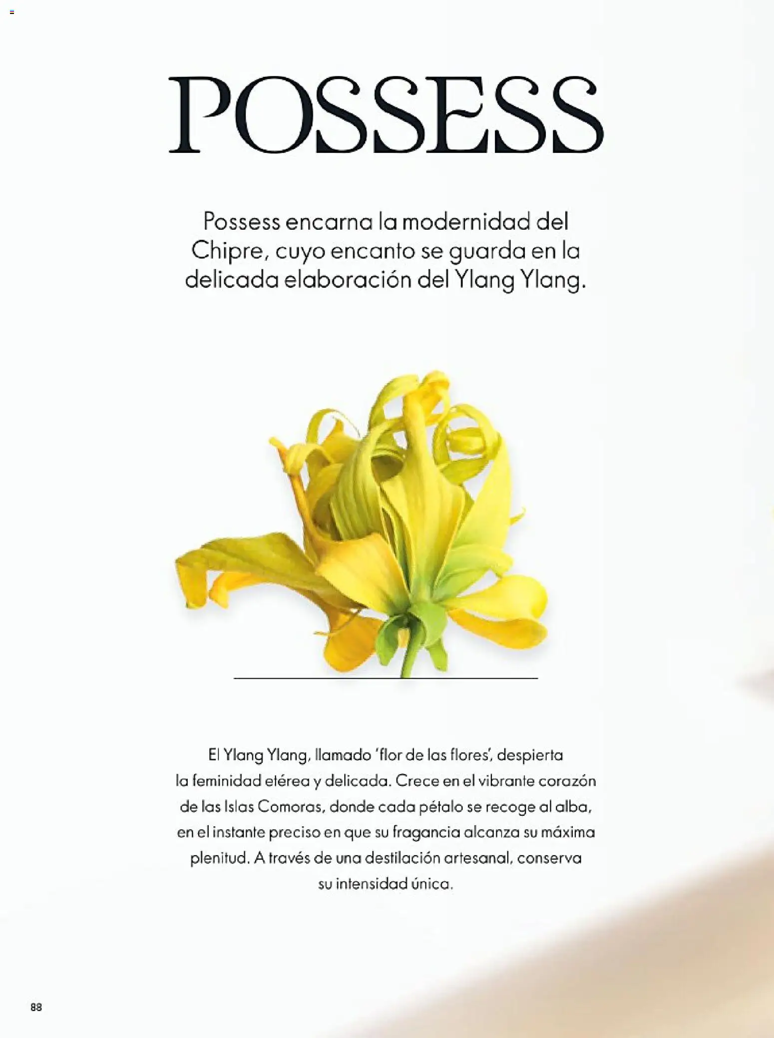 Nuevas ofertas de Oriflame válidas en toda la República Mexicana desde el 14.02.2026. ¡Encuentra las mejores ofertas en Oriflame campaña 3 2026! | Página: 88 | Productos: Fragancia