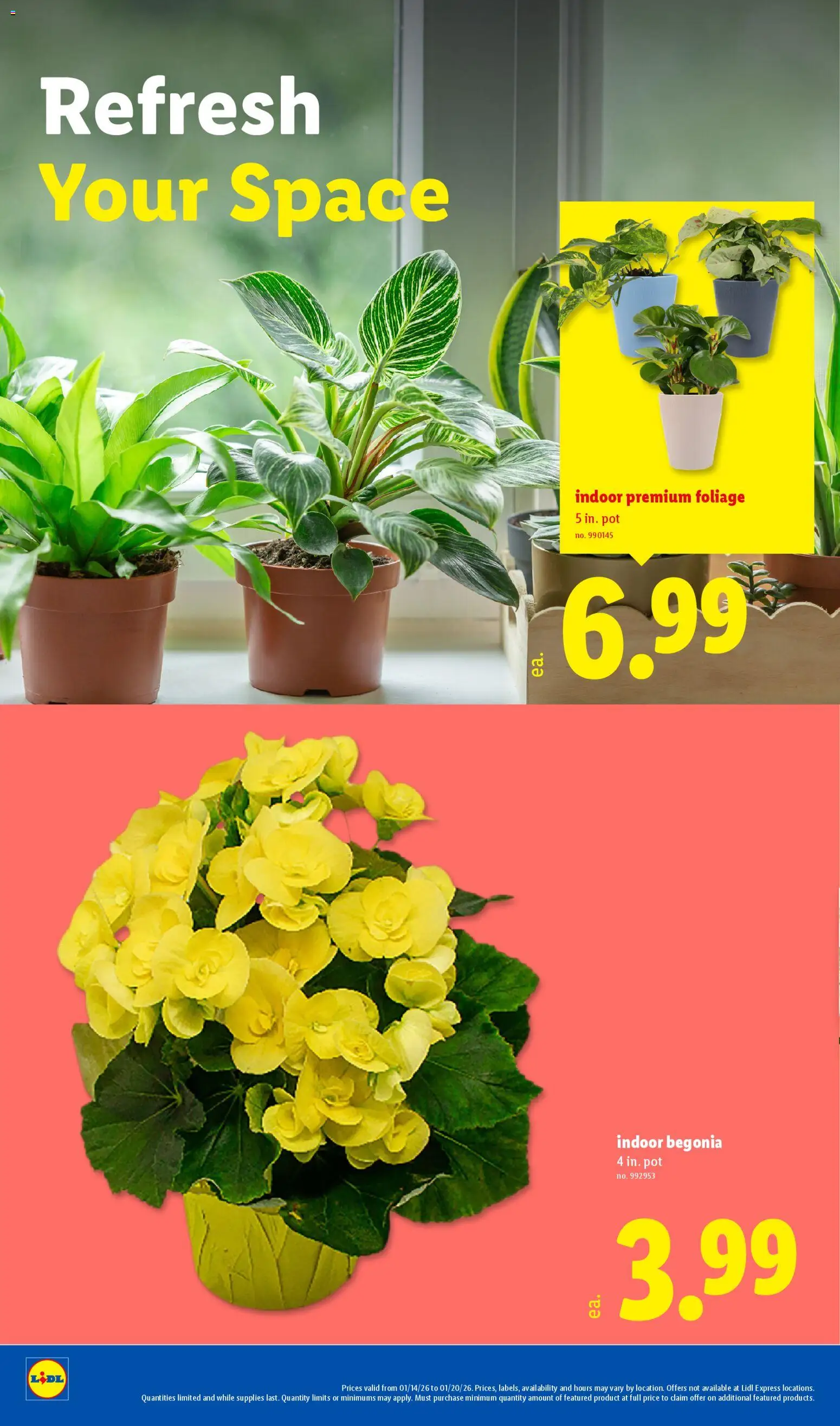 Lidl Weekly Ad - valid from 14.01.2026 | Page: 22