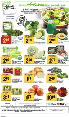 Food Lion Weekly Ad - valid from 10.09.2025 | Page: 13