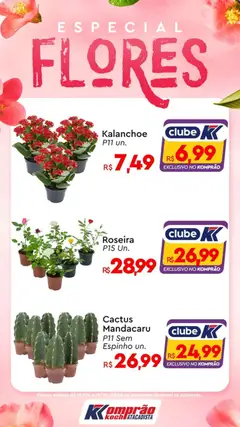 Komprao Atacadista ofertas Flores - Pré-Visualização do folheto da loja Komprao Atacadista, válido de 15.04.2026 | Página: 1