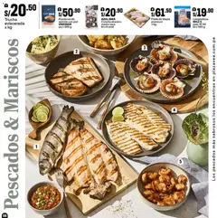 Vista previa de folleto Plaza Vea - ESPECIAL PARRILLA de la Plaza Vea válido desde 16.01.2026 | Página: 8