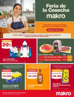 Makro - Promociones Familia -  Vista previa de la revista de la tienda Makro valido desde el 19.08.2025