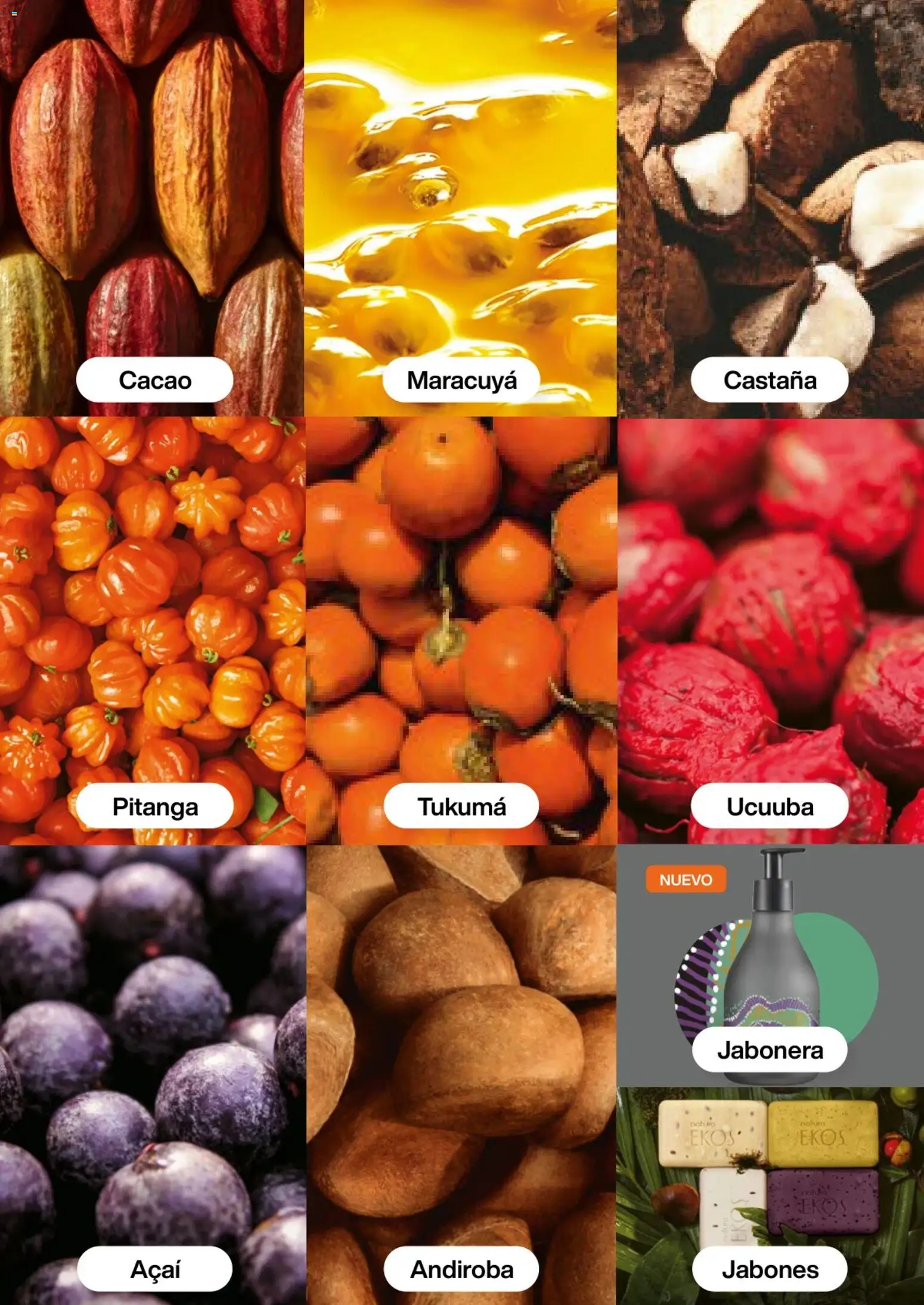 Natura revista - valida desde el 01.02.2026 | Página: 111 | Productos: Jabonera, Maracuyá