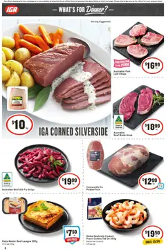 IGA catalogue - valid from 27.08.2025 | Page: 9