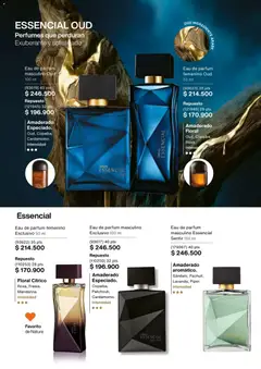 Natura - Catálogo Natura C02/2026 -  Vista previa de la revista de la tienda Natura valido desde el 01.02.2026 | Página: 55