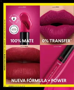 Catálogo CyZone Campaña 1 válido desde el 01.01.2026 | Página: 20 | Productos: Mate, Labial