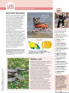 Preview of Catalogue Bunnings Warehouse January - valid from 01.01.2026 | Page: 61