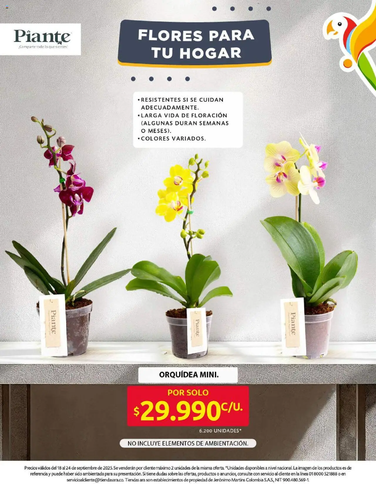 Ara revista - valida desde el 18.09.2025 | Página: 19 | Productos: Sobre