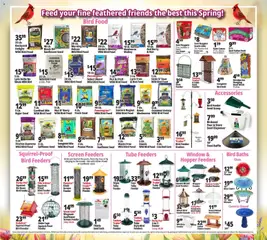 Preview of Ocean State Job Lot weekly ads valid from 19.03.2026 | Page: 25