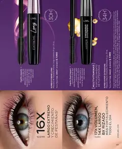 Catálogo L'Bel Campaña 5 válido desde el 01.03.2026 | Página: 45 | Productos: Cepillo, Máscara, Pestañas postizas