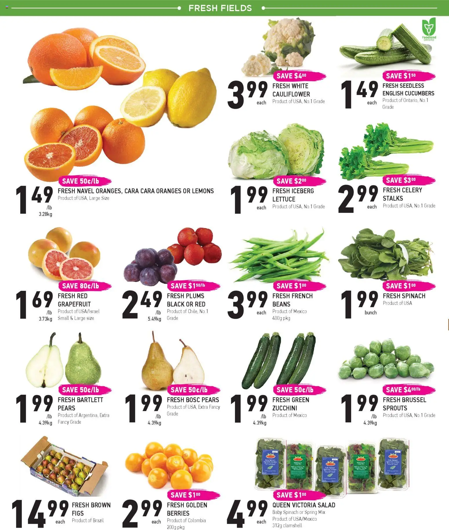 Coppas Fresh Market flyer valid from 19.03.2026 | Page: 2 | Products: Cucumbers, Salad, Oranges