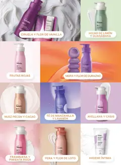 Vista previa de folleto Natura catálogo  - Ciclo 6 de la Natura válido desde 31.03.2026 | Página: 105