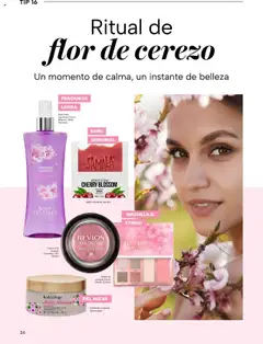 Nuevas ofertas de Chedraui válidas en toda la República Mexicana desde el 02.05.2025. ¡Encuentra las mejores ofertas en Chedraui folleto Vive Bella! | Página: 36