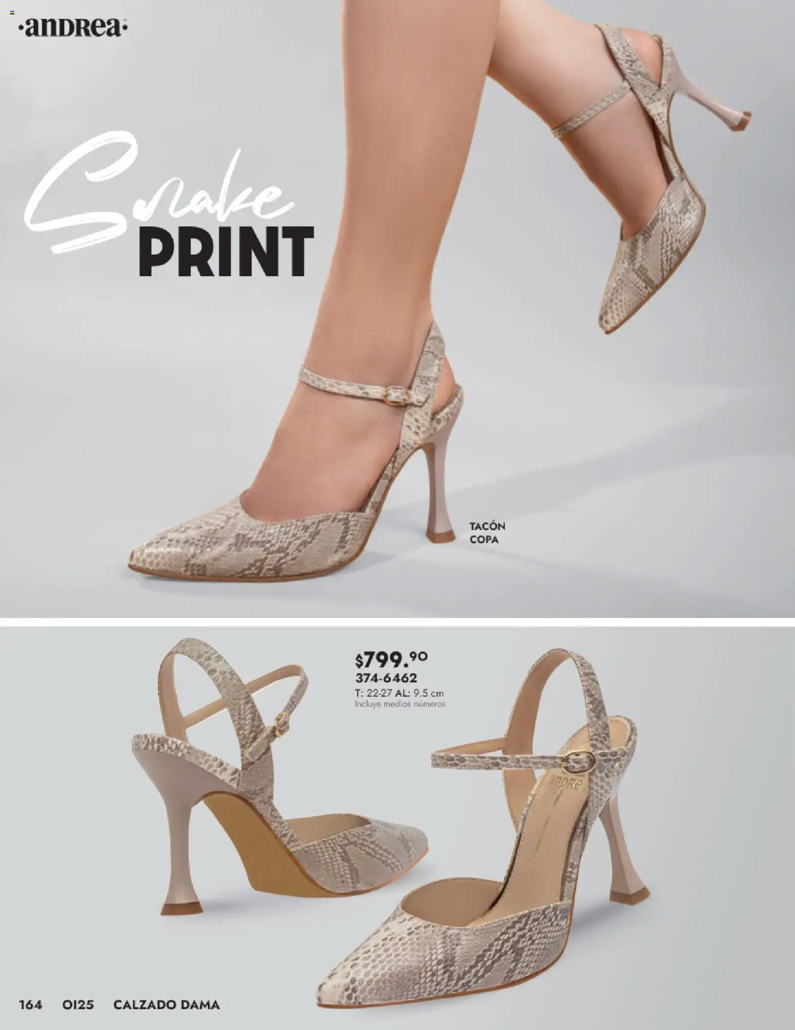 Nuevas ofertas de Andrea válidas en toda la República Mexicana desde el 24.08.2025. ¡Encuentra las mejores ofertas en Andrea - Catálogo Calzado Dama! | Página: 164