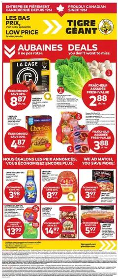 Preview of Giant Tiger weekly flyer / circulaire from shop Giant Tiger valid from 28.01.2026