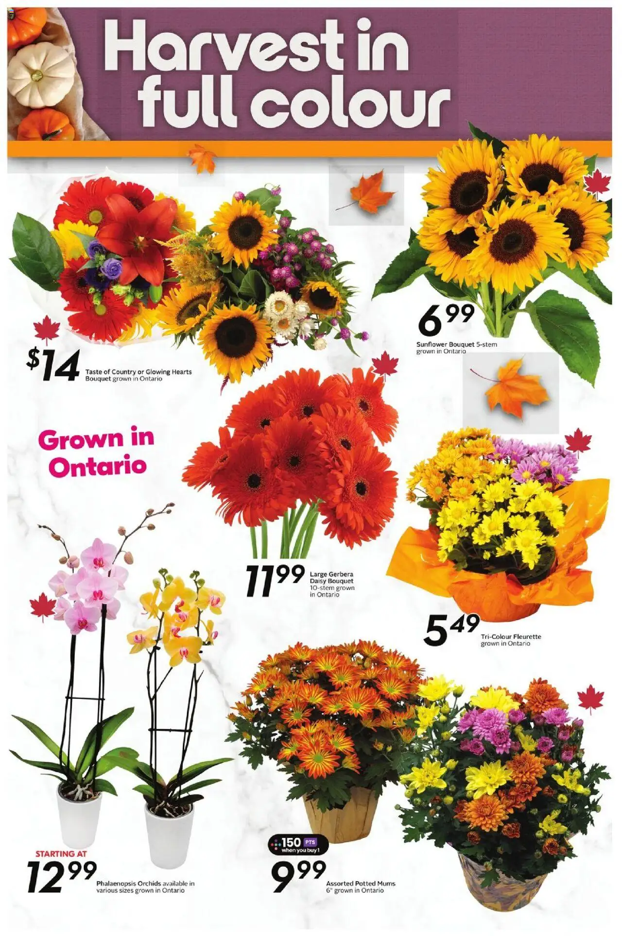 Sobeys flyer valid from 02.10.2025 | Page: 23