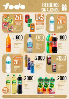Vista previa Supermercados TODO - Ofertas válido desde el 10.02.2026 | Página: 2 | Productos: Durazno, Soda, Manzana, Agua