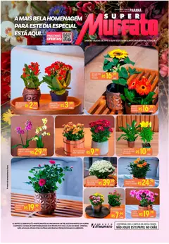 Super Muffato - Ofertas Flores - Pré-Visualização do folheto da loja Super Muffato, válido de 27.10.2025