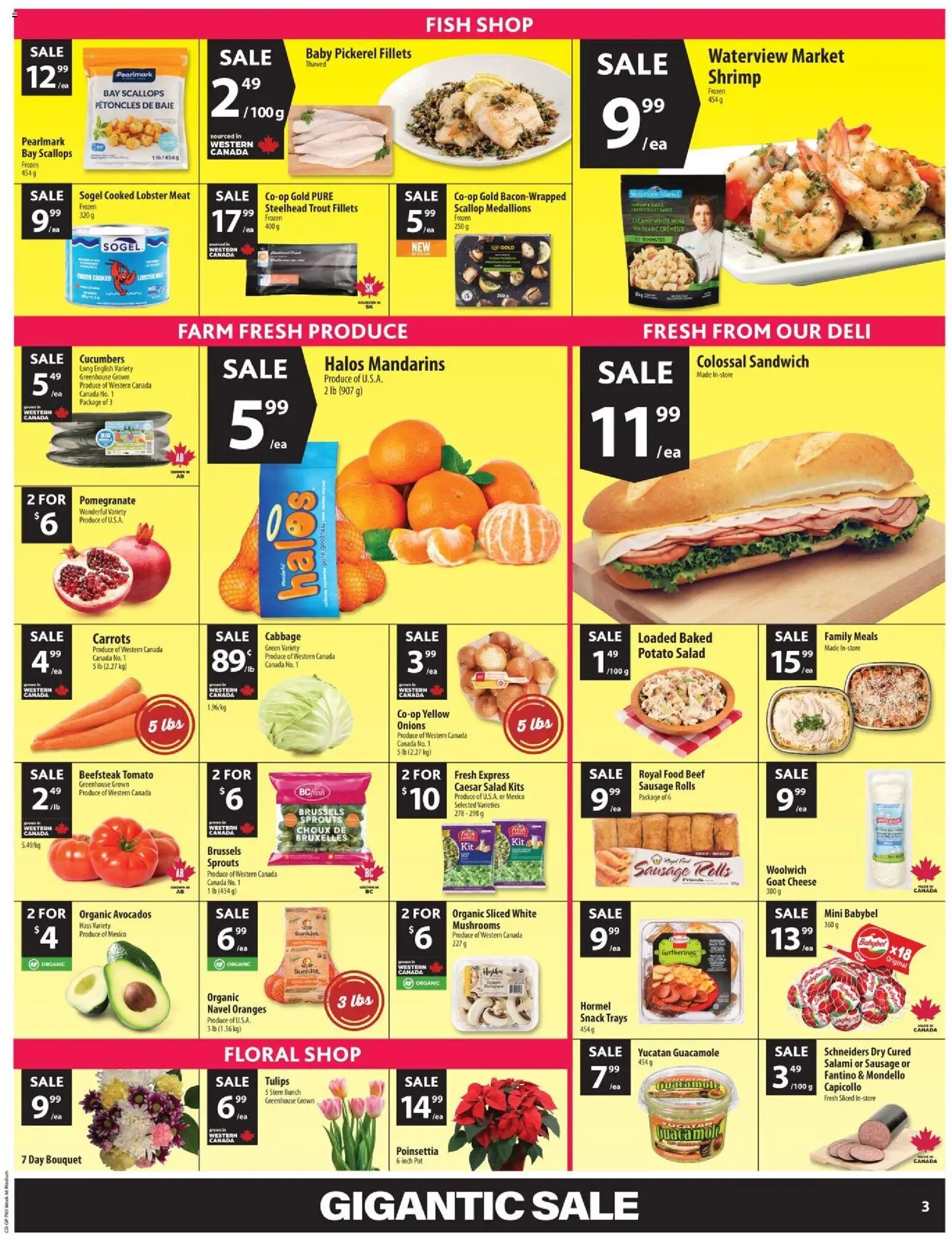 Co-op Food flyer valid from 20.11.2025 | Page: 5 | Products: Beef, Salad, Wine, Oranges