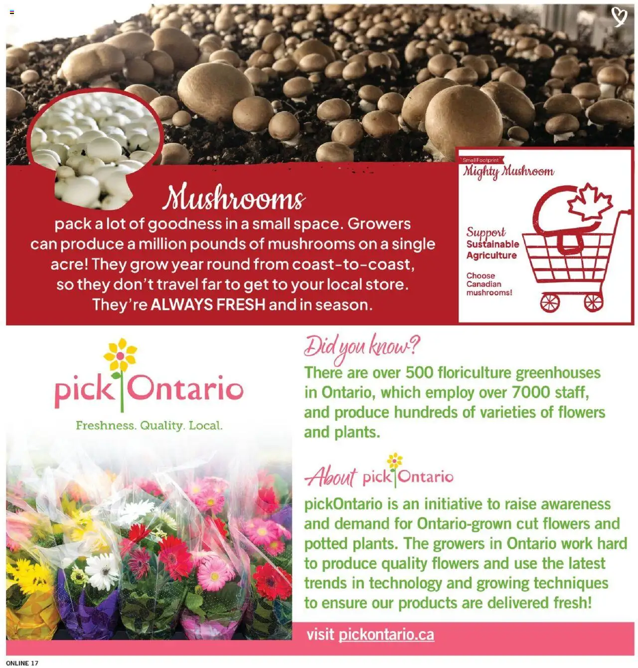 Fortinos flyer valid from 31.07.2025 | Page: 17