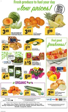 Preview of Food Lion weekly ads valid from 18.03.2026 | Page: 3