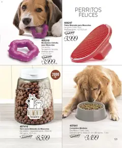 Vista previa Violetta catálogo válido desde el 01.01.2026 | Página: 121