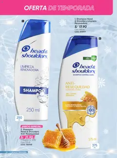 Vista previa de folleto Azzorti - Campaña C17 Plus /2025 de la Azzorti válido desde 15.10.2025 | Página: 84 | Productos: Shampoo