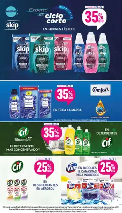 Vista previa La Anonima catálogo válido desde el 06.11.2025 | Página: 35 | Productos: Desinfectante, Detergente, Mochila, Canasta