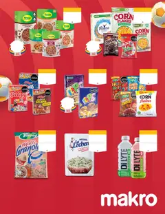 Makro  -  Vista previa de la revista de la tienda Makro valido desde el 27.03.2026 | Página: 29