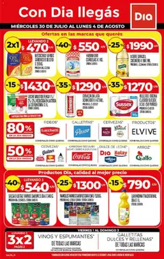 Vista previa Supermercado DIA Ofertas - Salta y Jujuy válido desde el 30.07.2025