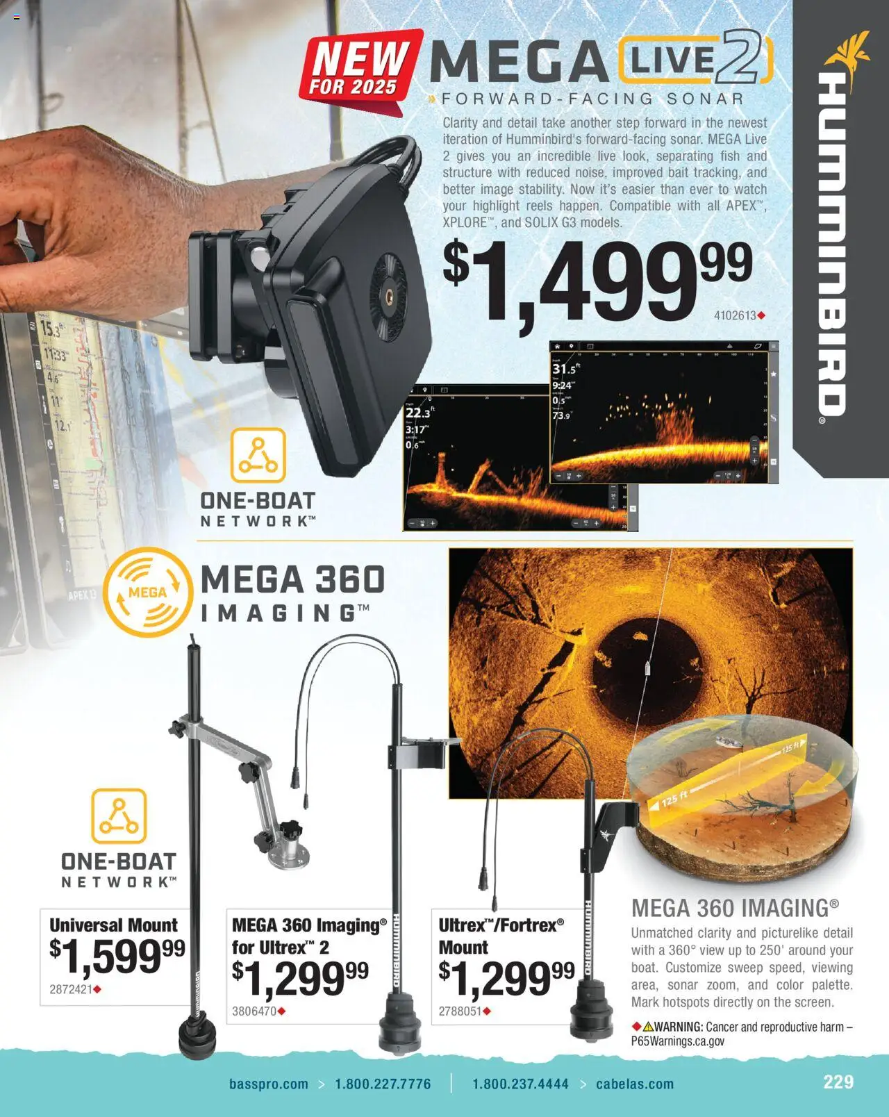 Cabela's Saltwater Specialist 25 - valid from 01.01.2025 | Page: 229 | Products: Fish, Watch, Bait