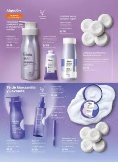 Vista previa de folleto Natura - Ciclo 4 de la Natura válido desde 20.02.2026 | Página: 91 | Productos: Jabón, Caja, Té, Crema
