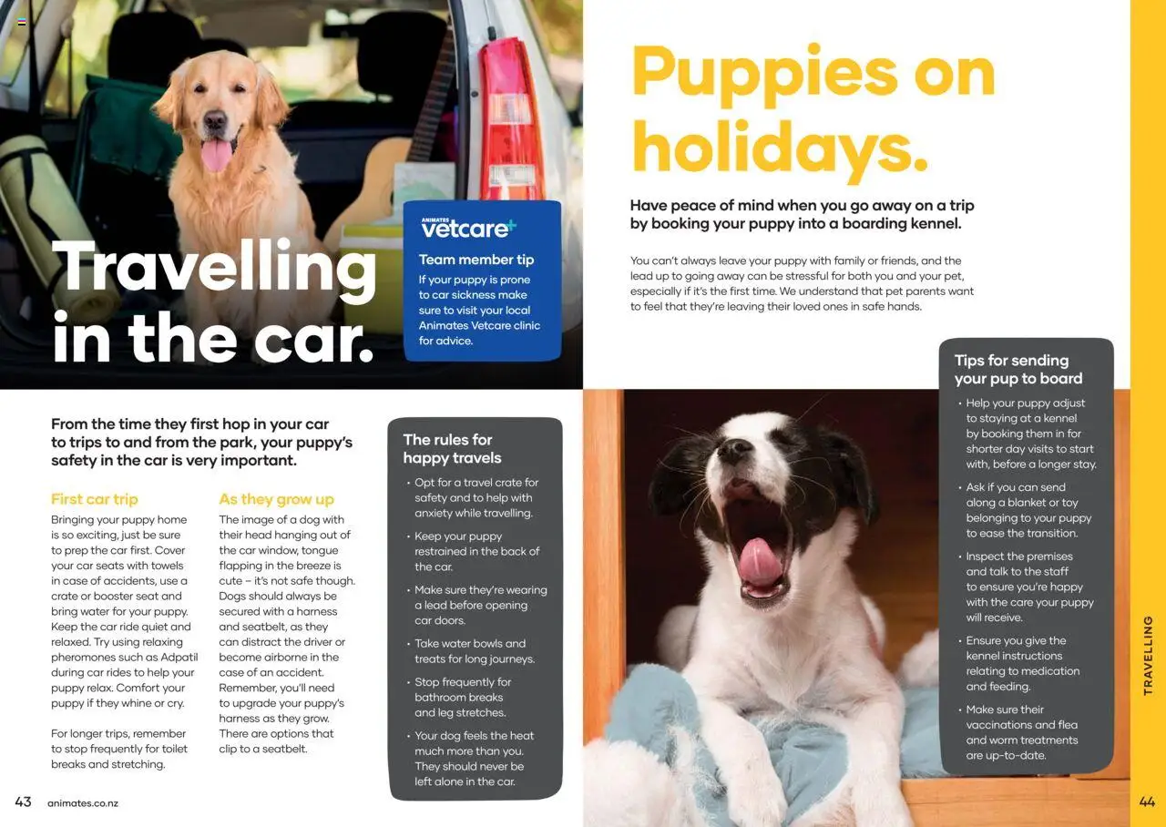 Animates catalogue from 01.01.2024 | Page: 23