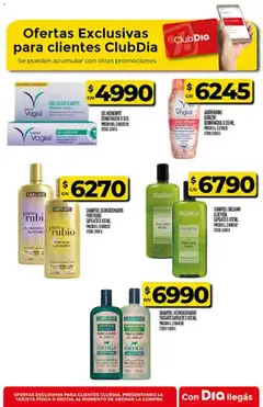 Vista previa Supermercado DIA Ofertas válido desde el 12.11.2025 | Página: 57 | Productos: Durazno, Bálsamo