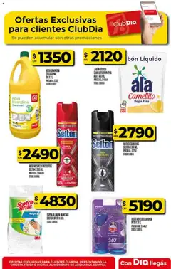 Supermercado DIA Ofertas │ válido desde el 10.09.2025 | Página: 77 | Productos: Mata moscas, Disco, Jabón líquido, Jabón