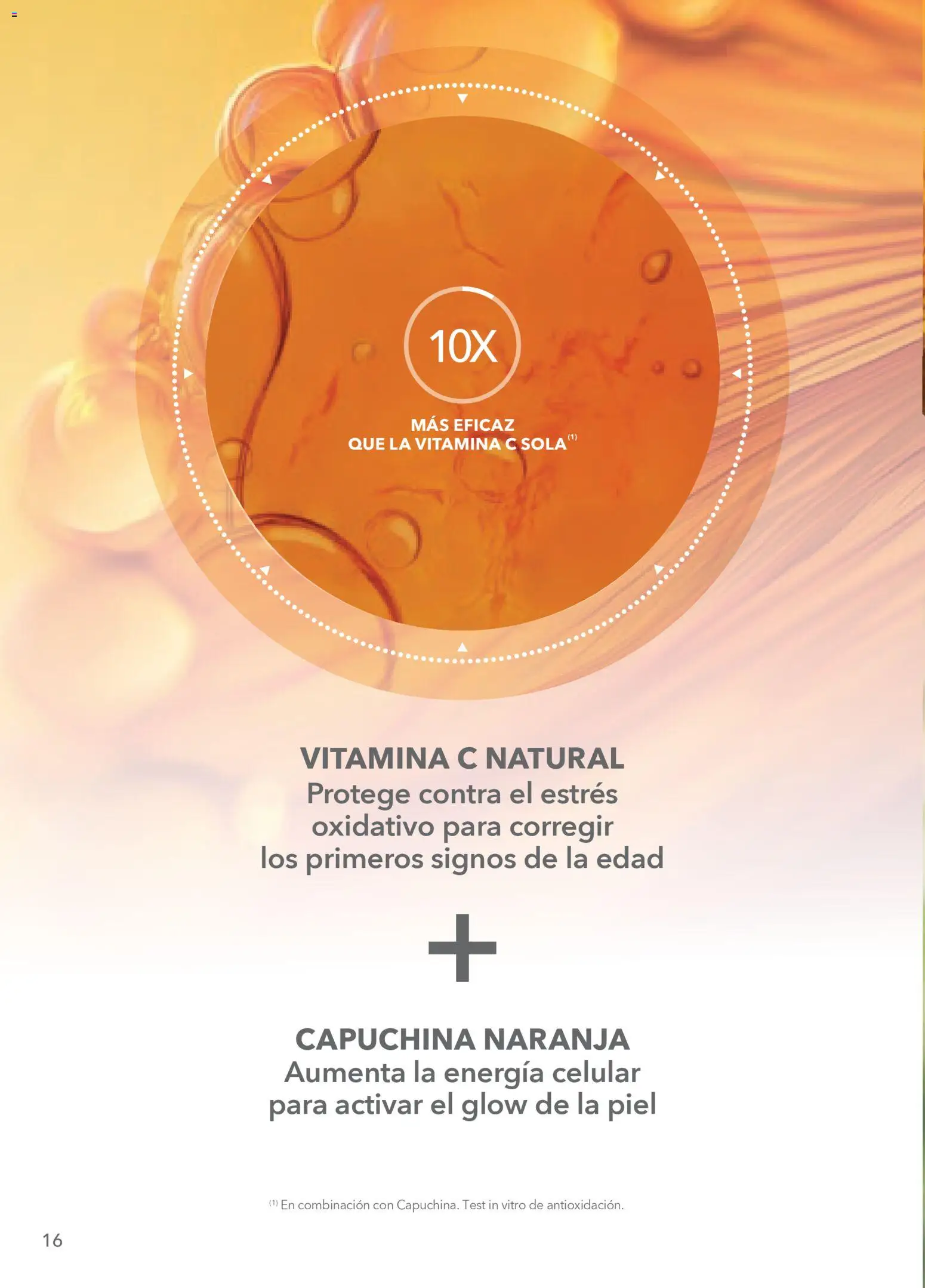 Nuevas ofertas de Yves Rocher válidas en toda la República Mexicana desde el 24.03.2026. ¡Encuentra las mejores ofertas en Yves Rocher campaña 5 2026! | Página: 16