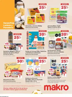 Makro catálogo makromania -  Vista previa de la revista de la tienda Makro valido desde el 20.03.2026 | Página: 17