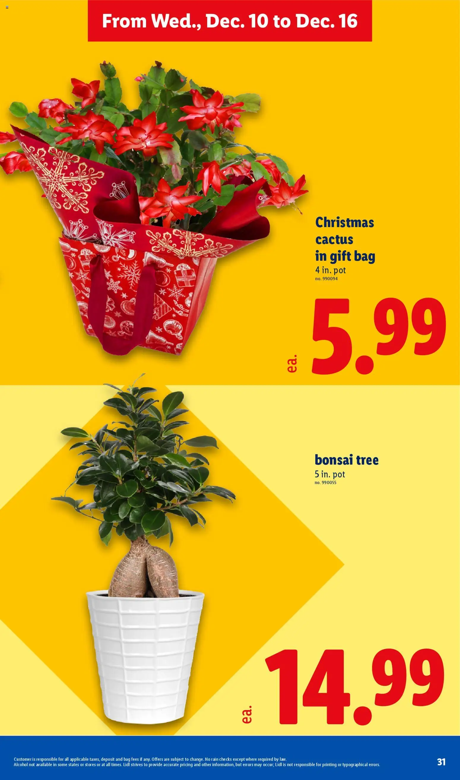 Lidl Weekly Ad - valid from 10.12.2025 | Page: 31