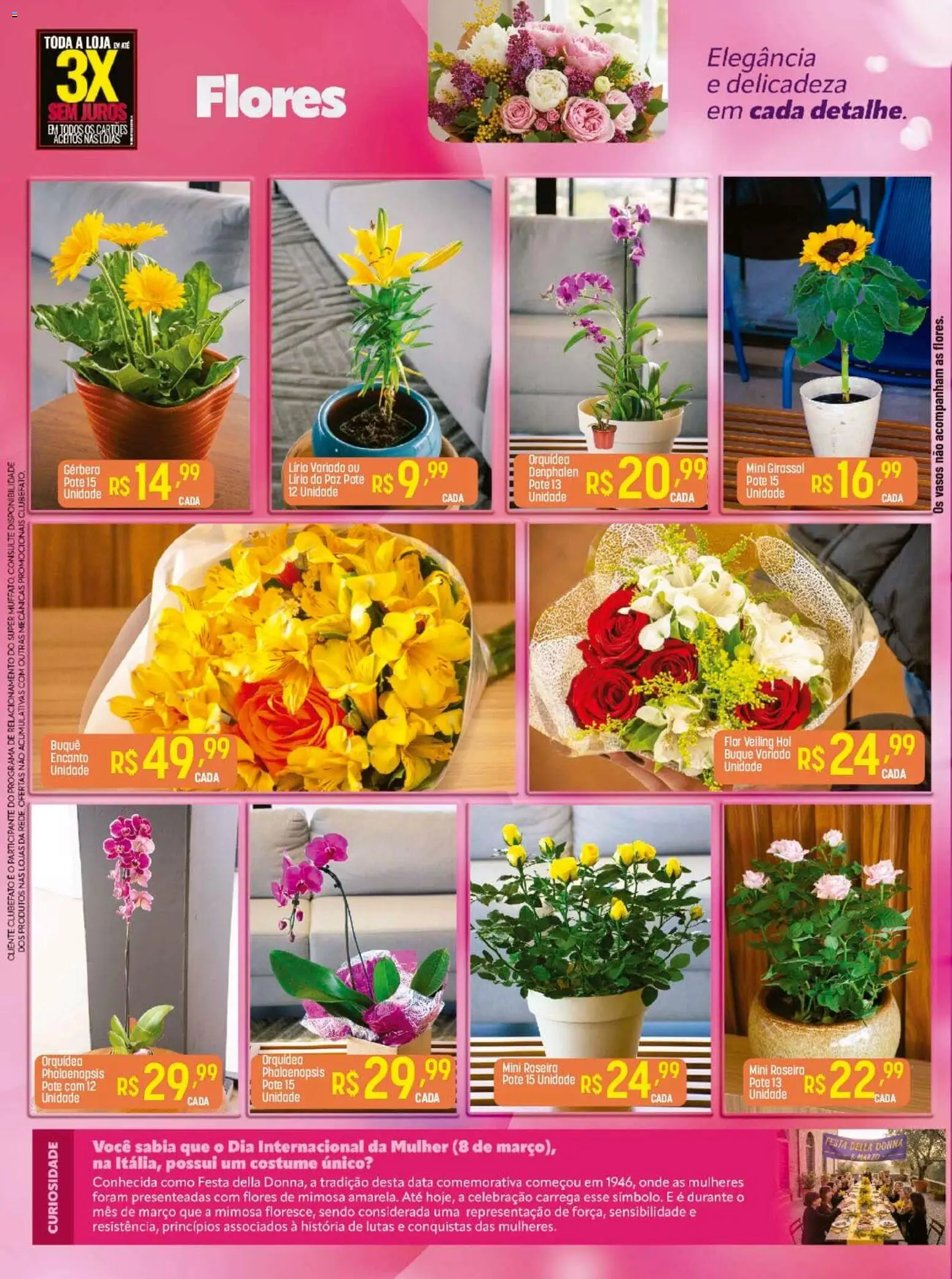 Super Muffato Folheto - válido de 02.03.2026 | Página: 2 | Produtos: Flores