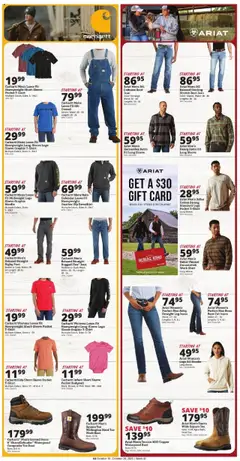 Preview of Rural King weekly ads valid from 16.10.2025 | Page: 8
