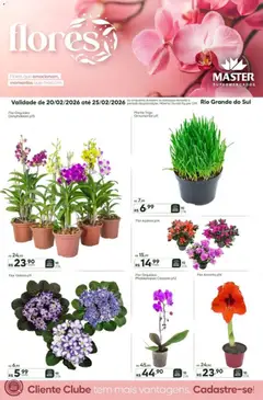 Master - FLORES - Pré-Visualização do folheto da loja Master, válido de 20.02.2026
