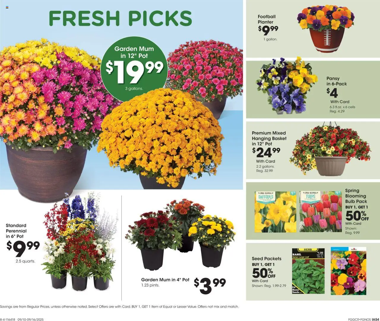 Fred Meyer Home & Apparel - valid from 10.09.2025 | Page: 19 | Products: Basket