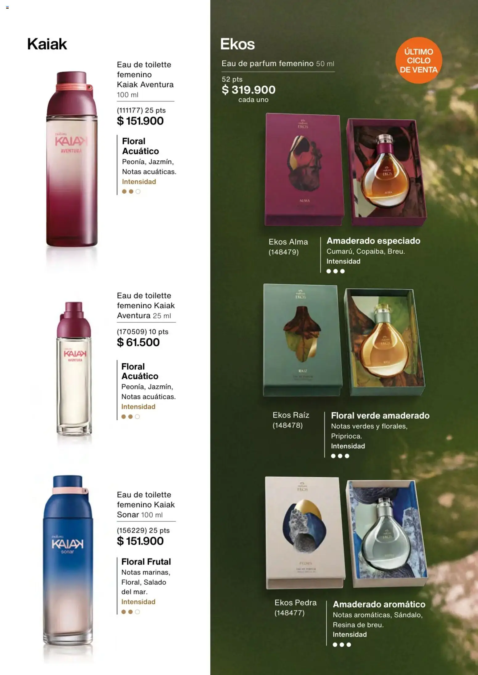 Natura revista - valida desde el 01.02.2026 | Página: 62 | Productos: Eau de toilette