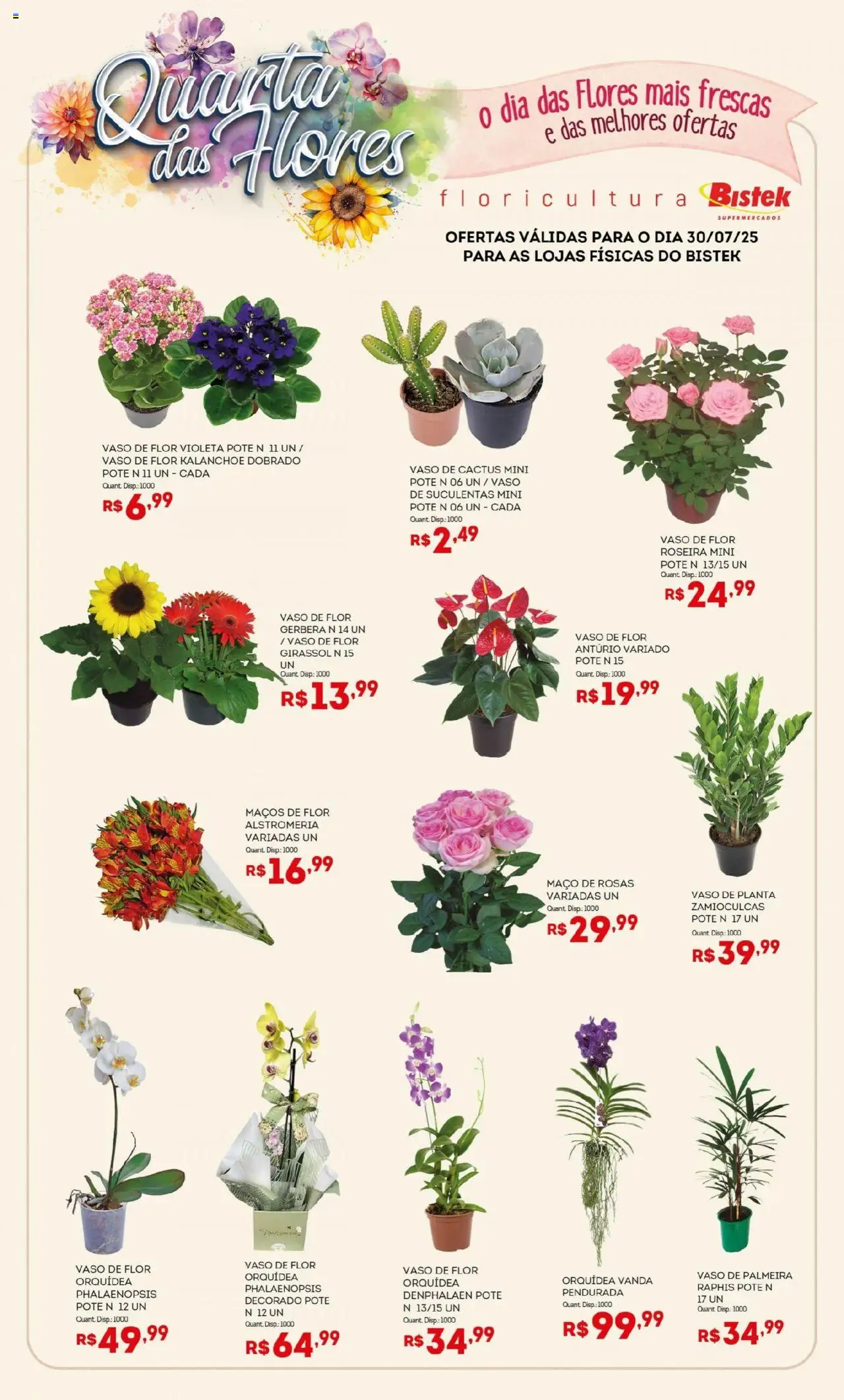 Bistek Supermercados Folheto - válido de 30.07.2025 | Página: 1 | Produtos: Denphalaen, Flores, Vaso