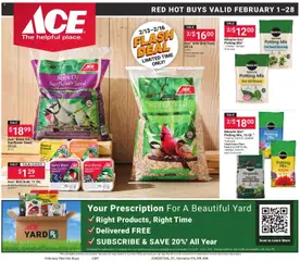 Preview of ACE Hardware weekly ads valid from 01.02.2026