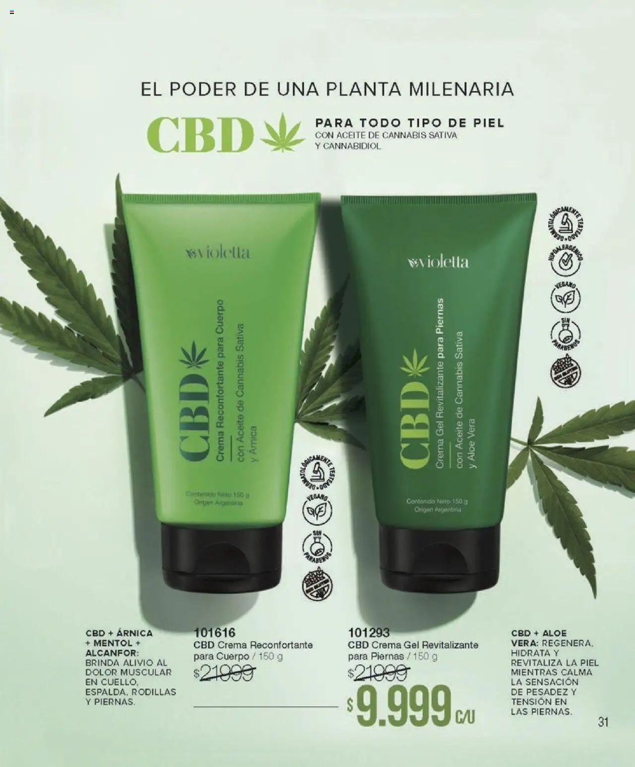Violetta catálogo │ válido desde el 09.10.2025 | Página: 31 | Productos: Aceite, Planta, Crema