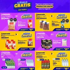 Vista previa de folleto Makro - Llévalo gratis VIG#04 de la Makro válido desde 12.02.2026 | Página: 6