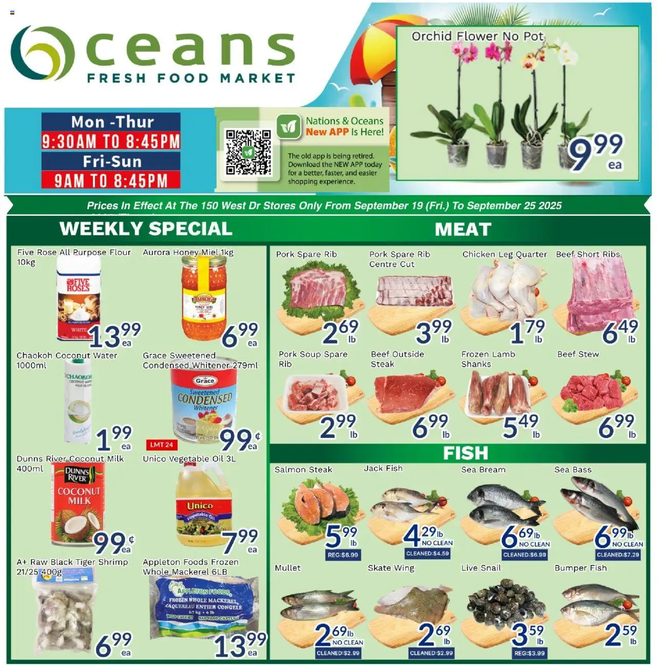 Oceans flyer valid from 19.09.2025 | Page: 1 | Products: Fish, Beef, Milk, Pork