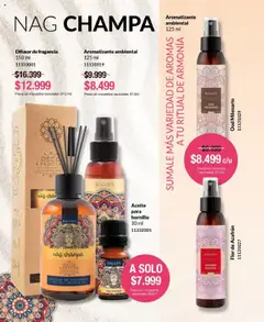 Vista previa Bagués - Catálogo válido desde el 22.09.2025 | Página: 64 | Productos: Fragancia, Aceite