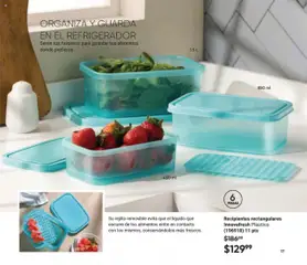 Vista previa de AVON - Casa & Estilo 15 2025, nuevo folleto de la tienda, válido en México a partir del 12.09.2025 | Página: 17 | Productos: Refrigerador, Rejilla